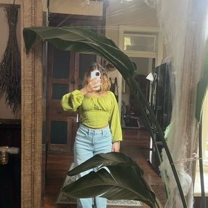 Green corset style puff sleeve top
